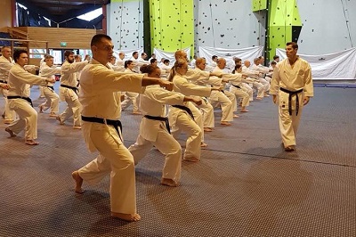GKR Karate portrait group in action